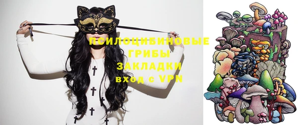 PSILOCYBIN Козельск